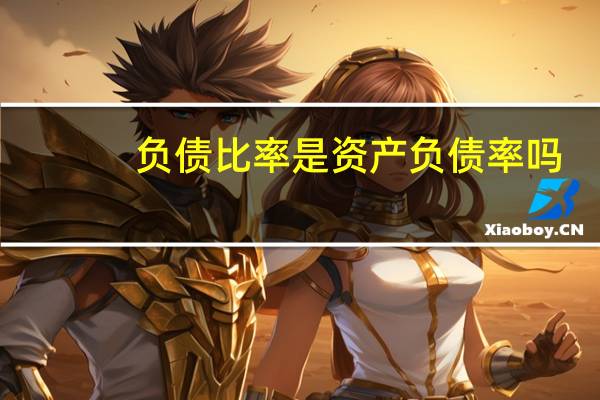 负债比率是资产负债率吗（负债比率）