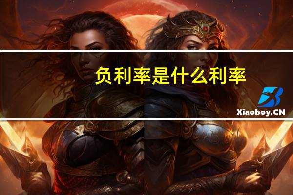 负利率是什么利率（负利率是什么意思?可以介绍一下吗）