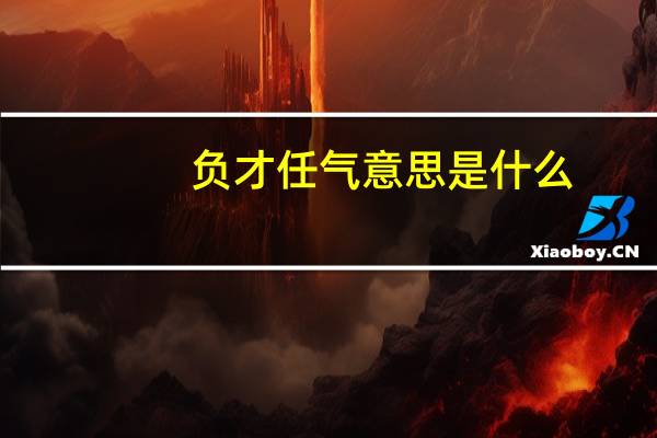 负才任气意思是什么