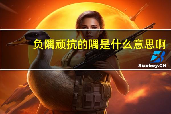 负隅顽抗的隅是什么意思啊(负隅顽抗的隅是什么意思)