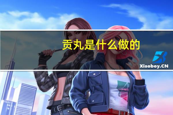 贡丸是什么做的