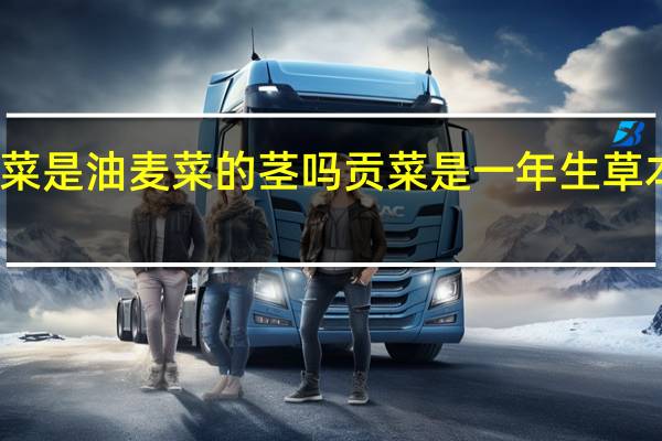 贡菜是油麦菜的茎吗 贡菜是一年生草本植物吗