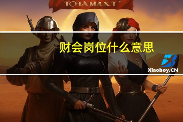 财会岗位什么意思