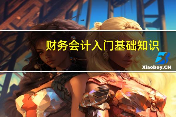 财务会计入门基础知识（会计入门基础知识）