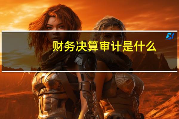 财务决算审计是什么