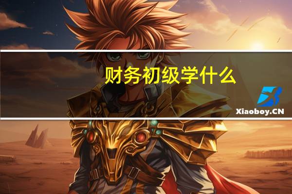 财务初级学什么