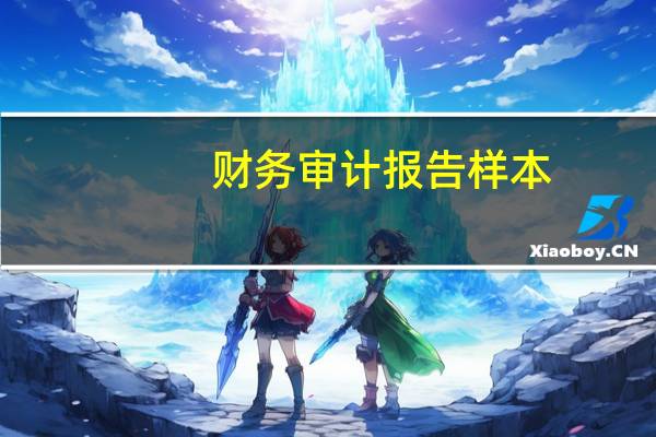 财务审计报告样本（财务审计报告是什么）