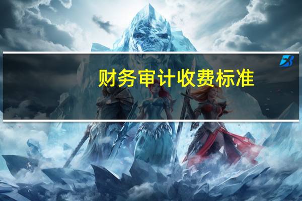 财务审计收费标准