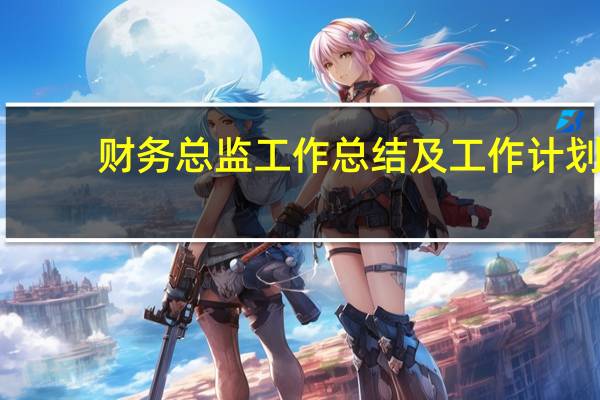 财务总监工作总结及工作计划(财务总监工作重点)