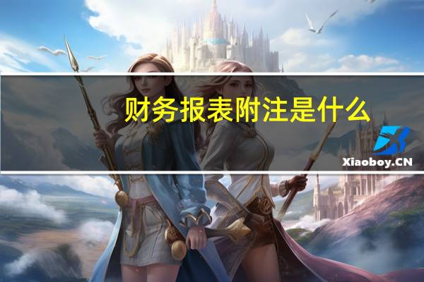 财务报表附注是什么