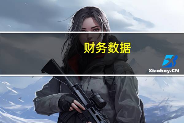 财务数据（财务数字大写）