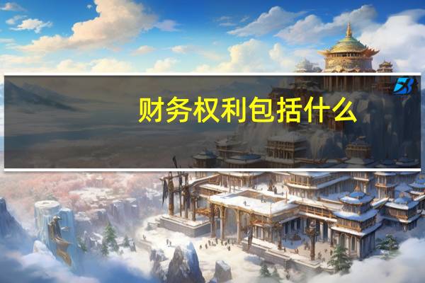 财务权利包括什么