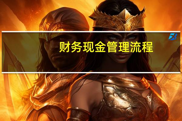 财务现金管理流程（财务现金管理制度）