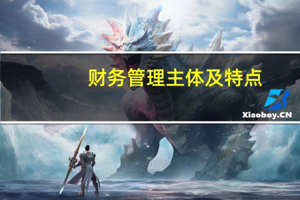 财务管理主体及特点