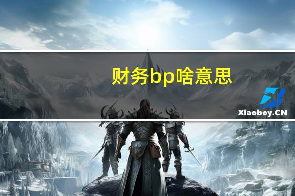 财务bp啥意思（财务bp是什么意思）