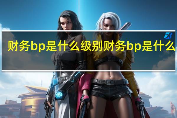 财务bp是什么级别 财务bp是什么意思