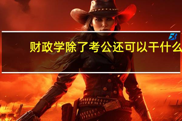 财政学除了考公还可以干什么
