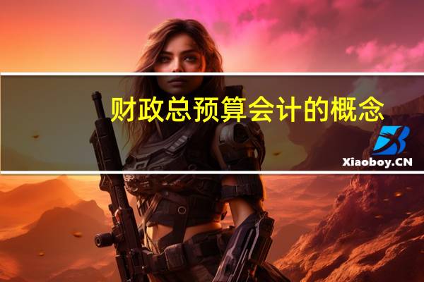 财政总预算会计的概念