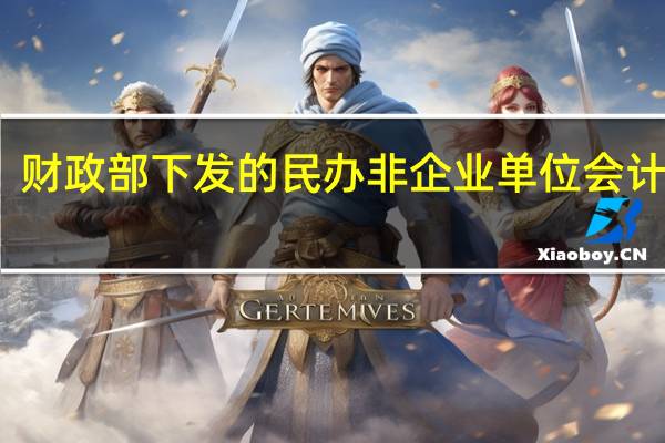 财政部下发的民办非企业单位会计制度（民办非企业单位会计制度）