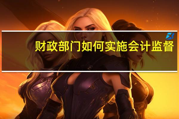 财政部门如何实施会计监督