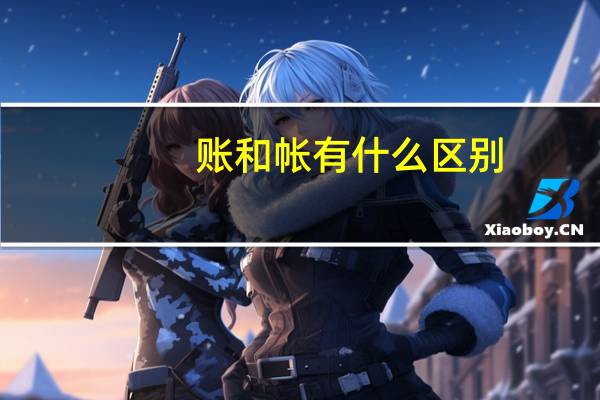账和帐有什么区别