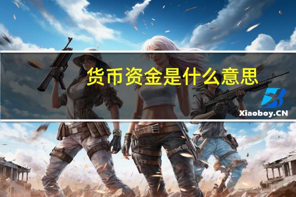 货币资金是什么意思（货币资金）