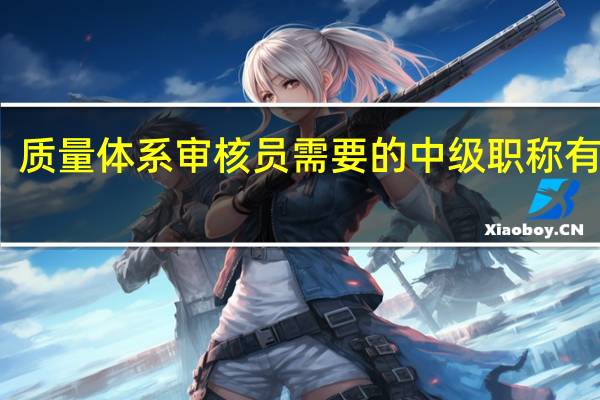 质量体系审核员需要的中级职称有哪些