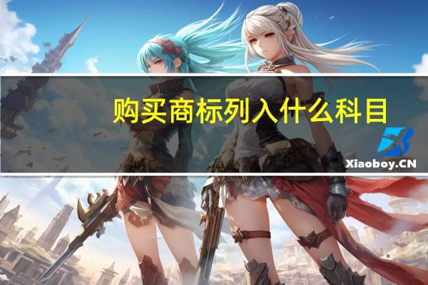 购买商标列入什么科目