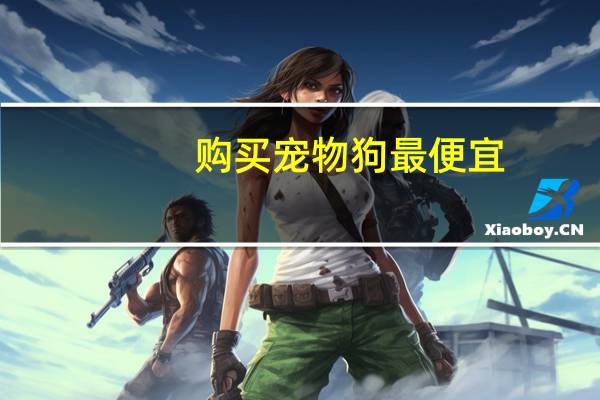 购买宠物狗最便宜