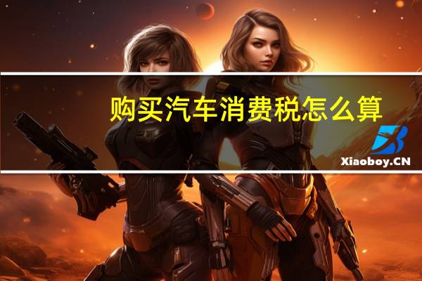购买汽车消费税怎么算