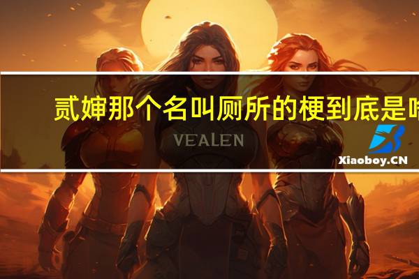 贰婶那个名叫厕所的梗到底是啥