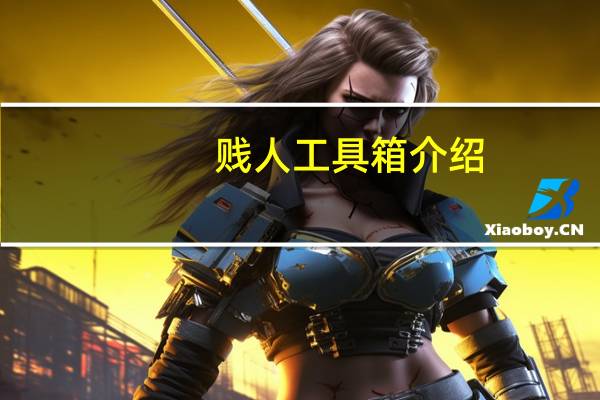 贱人工具箱介绍（贱人的英文）