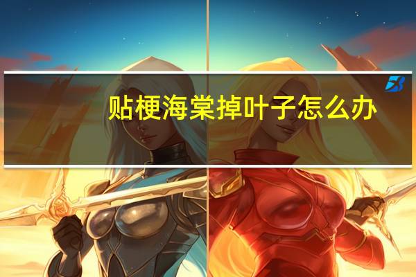贴梗海棠掉叶子怎么办