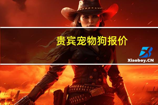 贵宾宠物狗报价