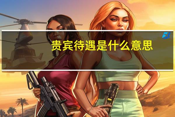 贵宾待遇是什么意思