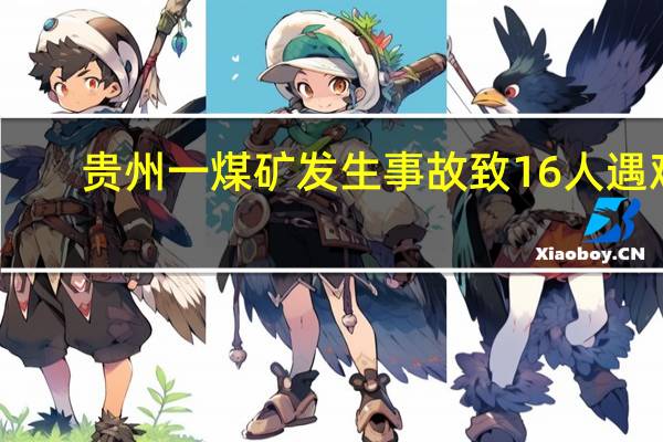 贵州一煤矿发生事故致16人遇难