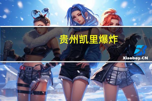贵州凯里爆炸（关于贵州凯里爆炸的介绍）