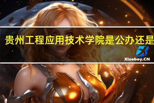 贵州工程应用技术学院是公办还是民办