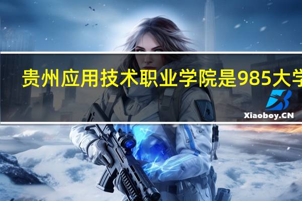 贵州应用技术职业学院是985大学吗