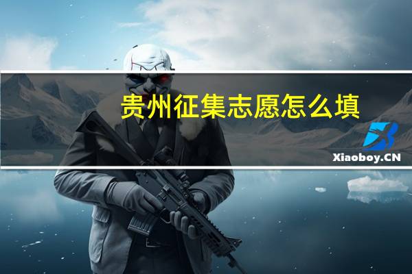 贵州征集志愿怎么填