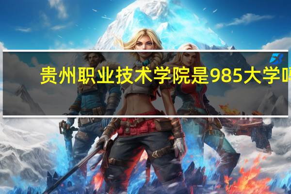 贵州职业技术学院是985大学吗