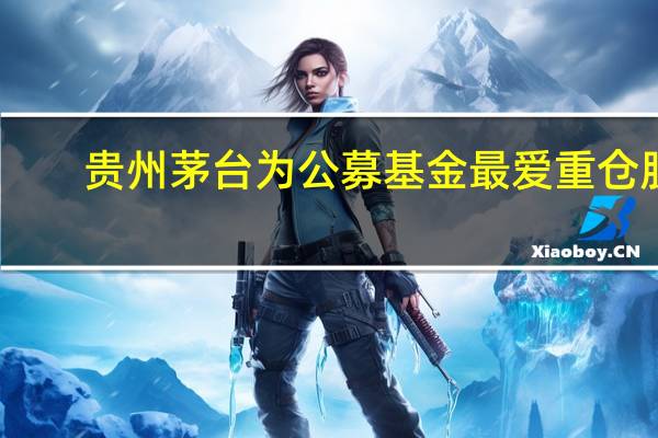 贵州茅台为公募基金最爱重仓股