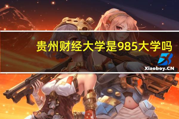 贵州财经大学是985大学吗