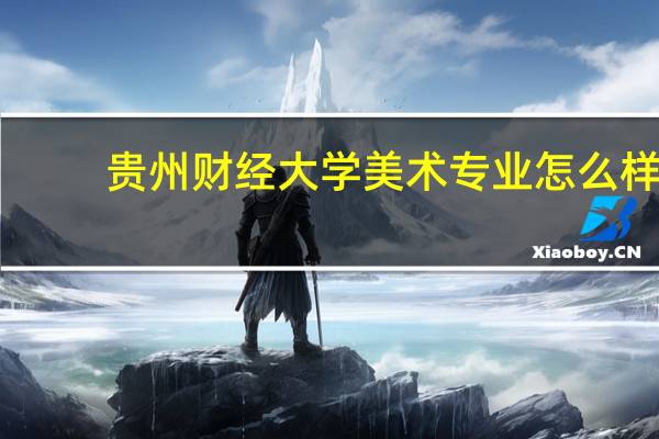 贵州财经大学美术专业怎么样