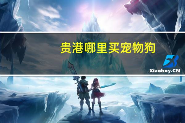 贵港哪里买宠物狗