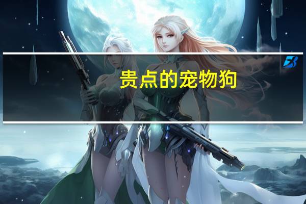 贵点的宠物狗