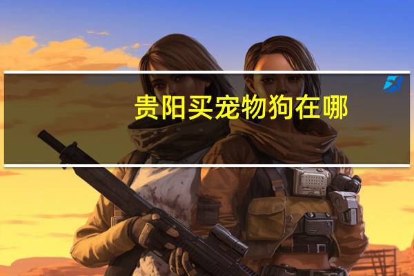 贵阳买宠物狗在哪