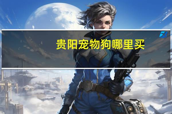 贵阳宠物狗哪里买