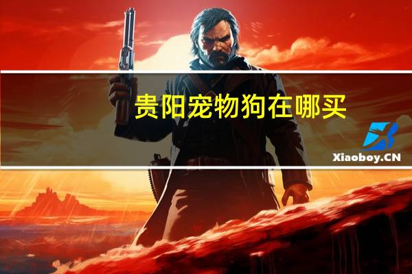 贵阳宠物狗在哪买