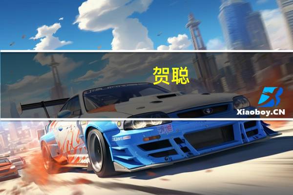 贺聪（关于贺聪的介绍）